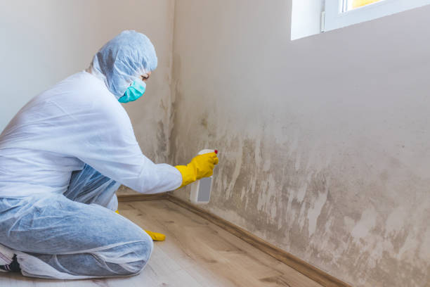 Licensed Mold Testing service in North Bend, PA - WQB Mold Removal