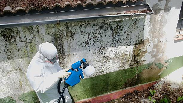 Top rated local Mold Testing specialists in North Bend, PA